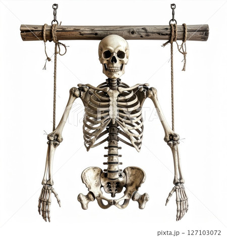 Human Skeleton Hanging from Wooden Beam Human Skeleton Hanging from Wooden Beam 127103072