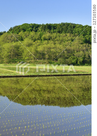 初夏の北海道乙部町で田植えを終えたばかりの水田の風景を撮影 127103580