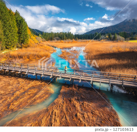 Aerial view of woman on wooden bridge, river and orange grass Aerial view of woman on wooden bridge, river and orange grass 127103613