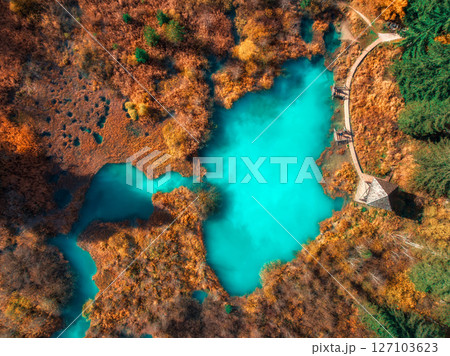 Aerial view of azure lake, mountain, orange forest in autumn 127103623