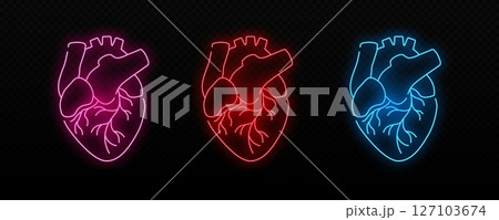 Glowing neon anatomical hearts in multiple colors red pink blue radiating energy 127103674