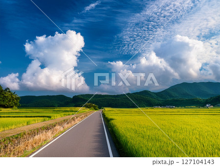 日本の夏-6 127104143