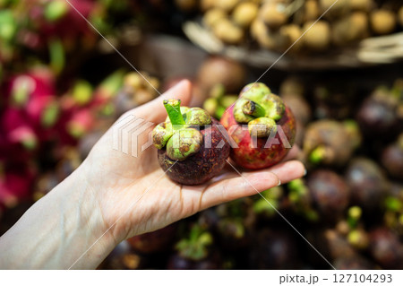 Female hand holds mangosteens in front of market counter at asian outdoor food stall, food tourism 127104293