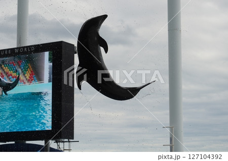 水族館の水槽で泳ぐイルカ 水族館の水槽で泳ぐイルカ 127104392