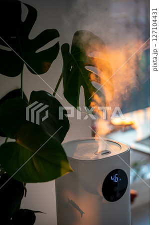 Modern humidifier at home, moistens dry air surrounded by indoor plant. Apartment with moisturizer. Modern humidifier at home, moistens dry air surrounded by indoor plant. Apartment with moisturizer. 127104431