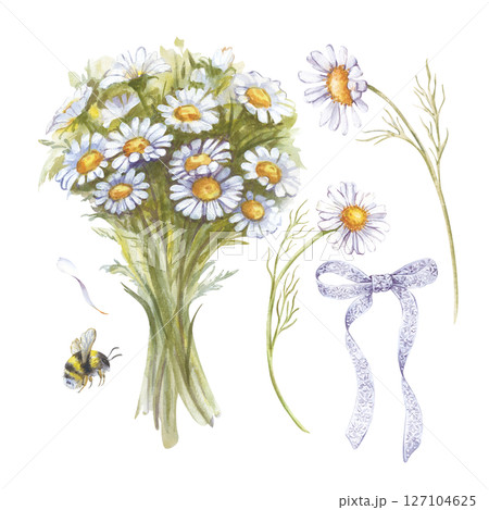 Mini-set with hand-drawn daisies on a white background. Watercolor illustration with wildflowers, bouquet, insects, lace bow. Flower clipart for the design of greetings, weddings, invitations. Mini-set with hand-drawn daisies on a white background. Watercolor illustration with wildflowers, bouquet, insects, lace bow. Flower clipart for the design of greetings, weddings, invitations. 127104625
