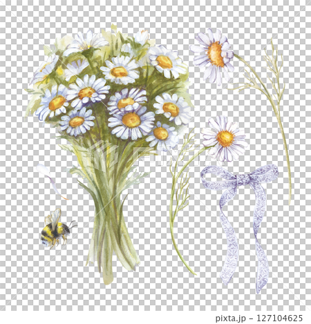 Mini-set with hand-drawn daisies on a white background. Watercolor illustration with wildflowers, bouquet, insects, lace bow. Flower clipart for the design of greetings, weddings, invitations. 127104625