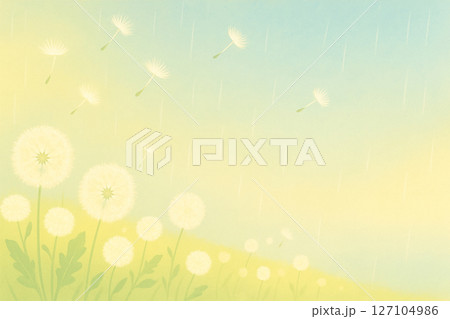 雨上がりのタンポポとそよ風 127104986