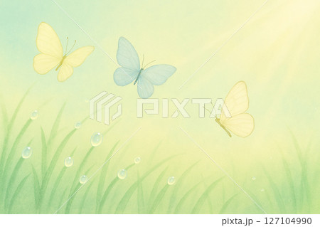 朝露と蝶が舞う草原の風景 朝露と蝶が舞う草原の風景 127104990
