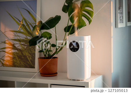Modern humidifier at home, moistens dry air surrounded by indoor plant. Apartment with moisturizer. Modern humidifier at home, moistens dry air surrounded by indoor plant. Apartment with moisturizer. 127105013