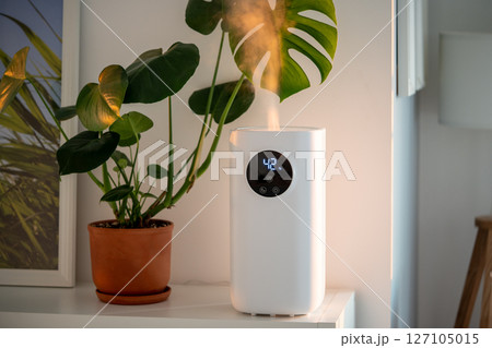 Modern humidifier at home, moistens dry air surrounded by indoor plant. Apartment with moisturizer. Modern humidifier at home, moistens dry air surrounded by indoor plant. Apartment with moisturizer. 127105015