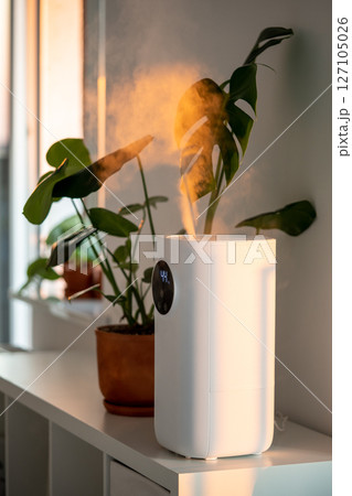 Modern humidifier at home, moistens dry air surrounded by indoor plant. Apartment with moisturizer.  127105026