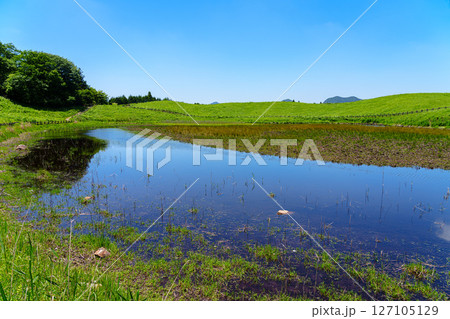 初夏の曾爾高原　水量が少し回復したお亀池　南側遊歩道高原入り口寄りで撮影⑦ 127105129