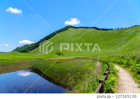 初夏の曾爾高原　水量が少し回復したお亀池　水面に映った二本ボソ　南側遊歩道高原入り口寄りで撮影① 127105130