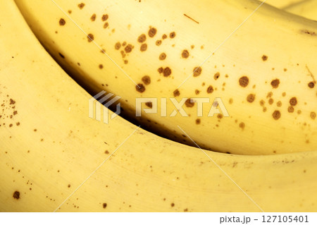 Close up of the yellow skin of a banana bunch Close up of the yellow skin of a banana bunch 127105401