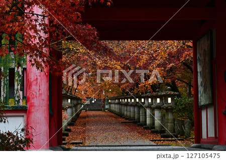 高山寺の紅葉 高山寺の紅葉 127105475