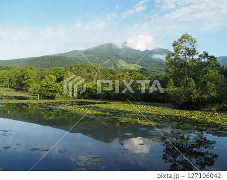 いもり池から眺める妙高山(新潟県妙高市いもり池) いもり池から眺める妙高山(新潟県妙高市いもり池) 127106042