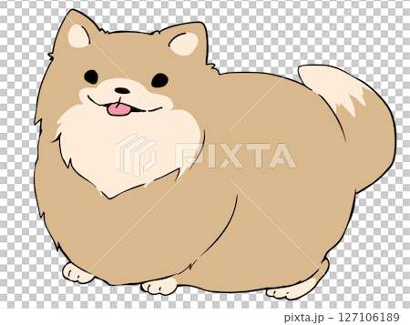 波美拉尼亞 127106189