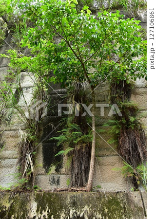 インフラと自然 127106861