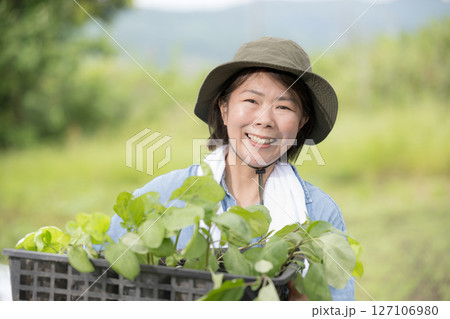 畑でナスの苗植え作業する女性 農家や農業で働くする人のイメージ 畑でナスの苗植え作業する女性 農家や農業で働くする人のイメージ 127106980