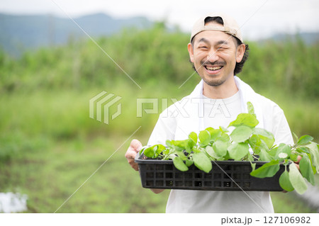 畑でナスの苗植え作業する髭の男性 農家や農業で働くする人のイメージ カメラ目線 畑でナスの苗植え作業する髭の男性 農家や農業で働くする人のイメージ カメラ目線 127106982