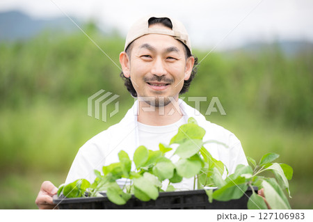 畑でナスの苗植え作業する髭の男性　農家や農業で働くする人のイメージ　カメラ目線	 127106983
