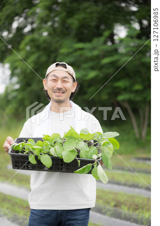 畑でナスの苗植え作業する髭の男性　農家や農業で働くする人のイメージ　カメラ目線	 127106985