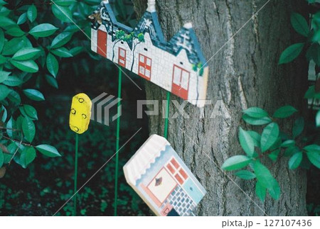 木の幹に設置された小さなおうち 木の幹に設置された小さなおうち 127107436
