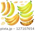 いろんな色のバナナと、いろんなカットバナナ/果物イラスト素材 127107654