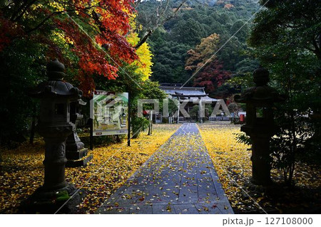 秋の高座神社 秋の高座神社 127108000