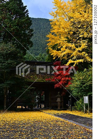 秋の高座神社 秋の高座神社 127108002