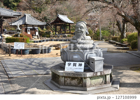 京都宇治市の西国三十三所第10番札所、蛇の神さまと紫陽花で有名な花の寺、三室戸寺の風景 京都宇治市の西国三十三所第10番札所、蛇の神さまと紫陽花で有名な花の寺、三室戸寺の風景 127108999