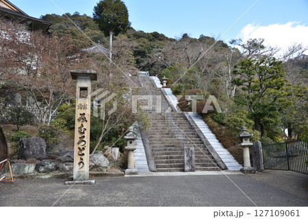 京都宇治市の西国三十三所第10番札所、蛇の神さまと紫陽花で有名な花の寺、三室戸寺の参道 127109061