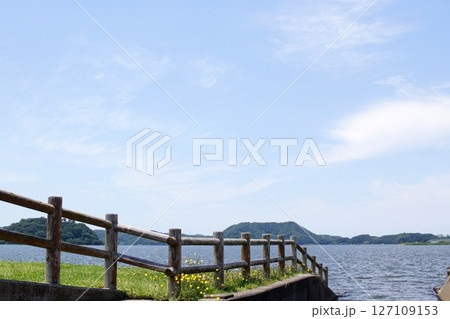 鳥取 四季の散歩 夏 湖山池 ナチュラルガーデン 鳥取 四季の散歩 夏 湖山池 ナチュラルガーデン 127109153