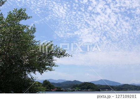 鳥取 四季の散歩 夏 湖山池 ナチュラルガーデン 鳥取 四季の散歩 夏 湖山池 ナチュラルガーデン 127109201