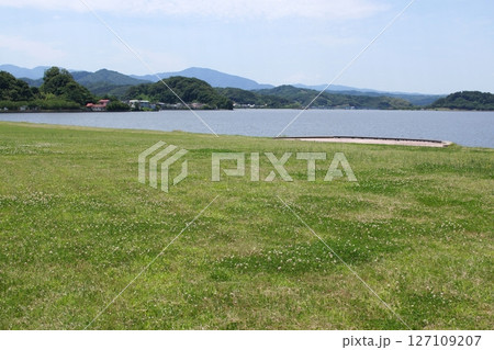 鳥取　四季の散歩　夏　湖山池　ナチュラルガーデン 127109207