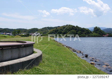 鳥取　四季の散歩　夏　湖山池　ナチュラルガーデン 127109247