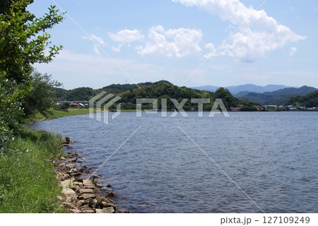 鳥取　四季の散歩　夏　湖山池　ナチュラルガーデン 127109249