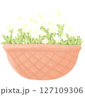 White flowers plants baskets png 127109306