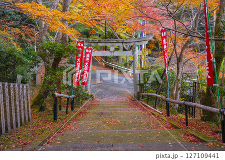 秋の京都 紅葉が美しい双林院(山科聖天) 秋の京都 紅葉が美しい双林院(山科聖天) 127109441