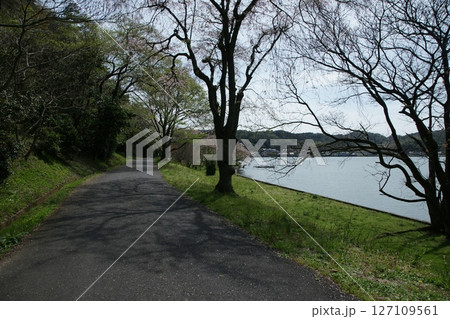 鳥取 四季の散歩 春 青島 鳥取 四季の散歩 春 青島 127109561