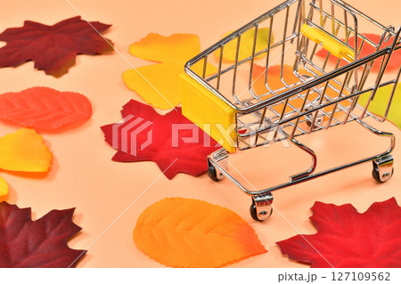 秋の特売のイメージ 127109562