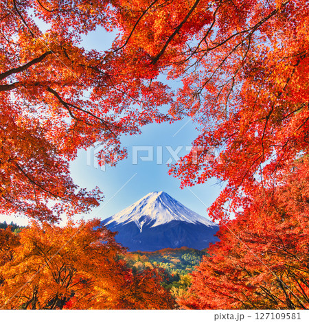 香嵐渓の真っ赤に染まった紅葉と富士山合成 127109581