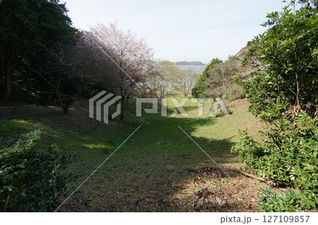 鳥取　四季の散歩　春　青島 127109857