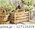 カントリーの趣：木箱と籠、素朴な花々の佇まい 127110209
