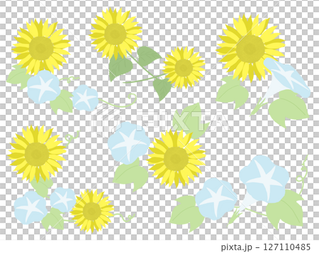 向日葵和牽牛花套裝 127110485