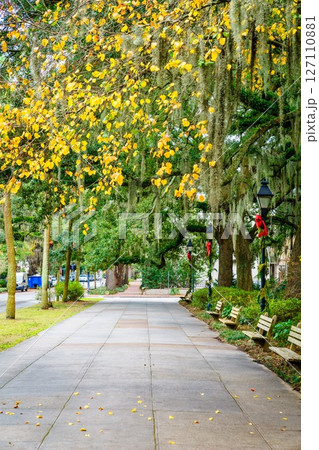 Forsyth Park 127110881