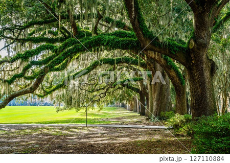 Forsyth Park Forsyth Park 127110884