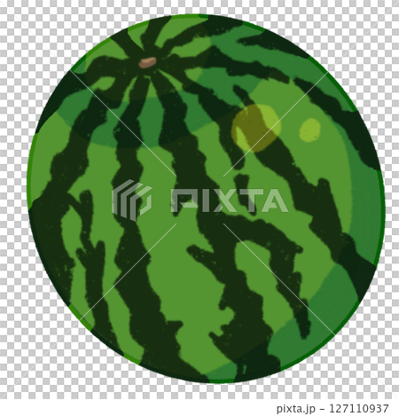 watermelon   127110937