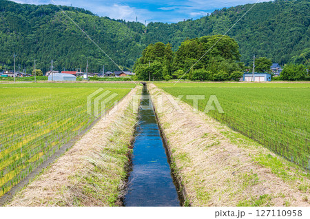 滋賀県湖北地方木之本町の水田風景　長浜市 127110958